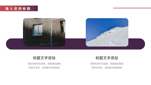 紫色简洁图文社会实践报告PPT模板