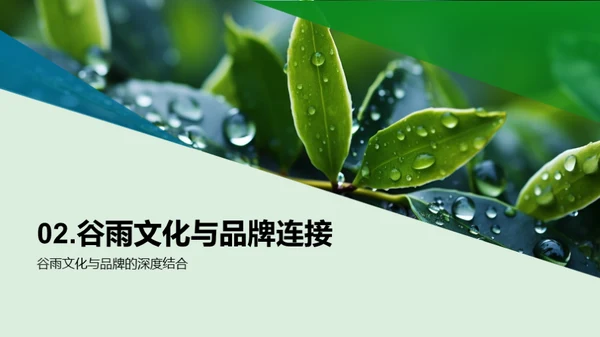 谷雨节气与品牌策略