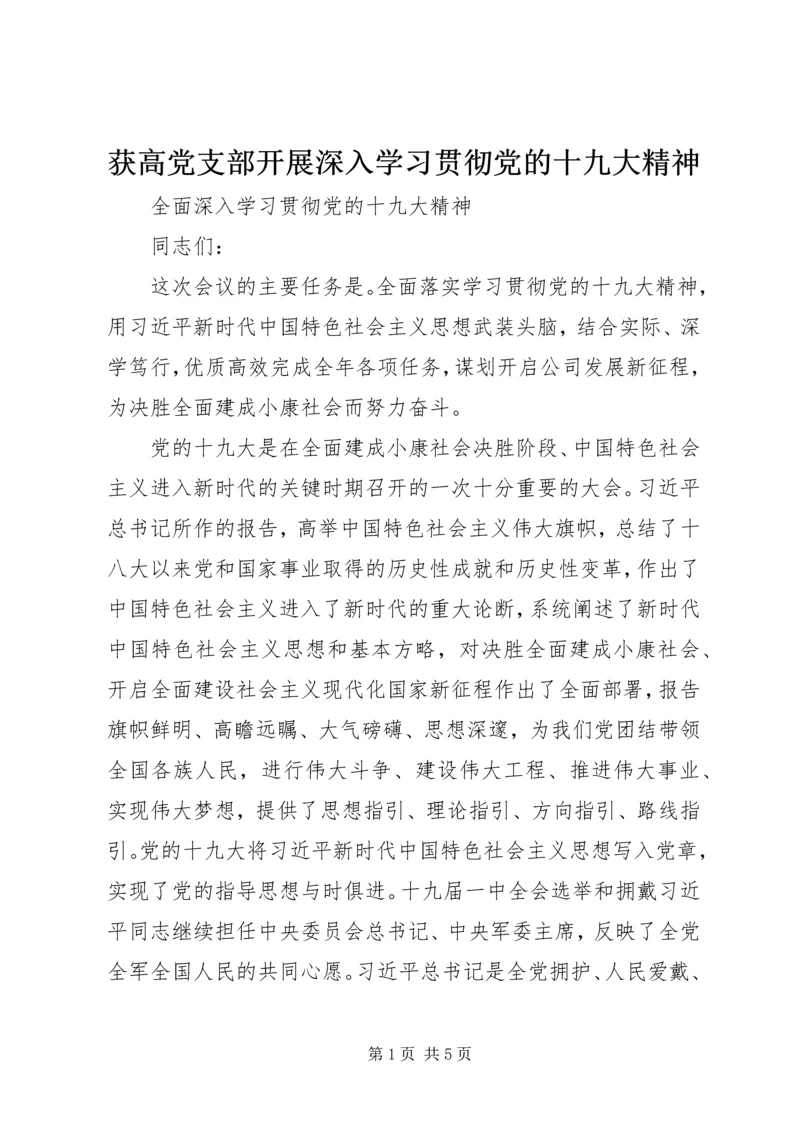 获高党支部开展深入学习贯彻党的十九大精神 (2).docx