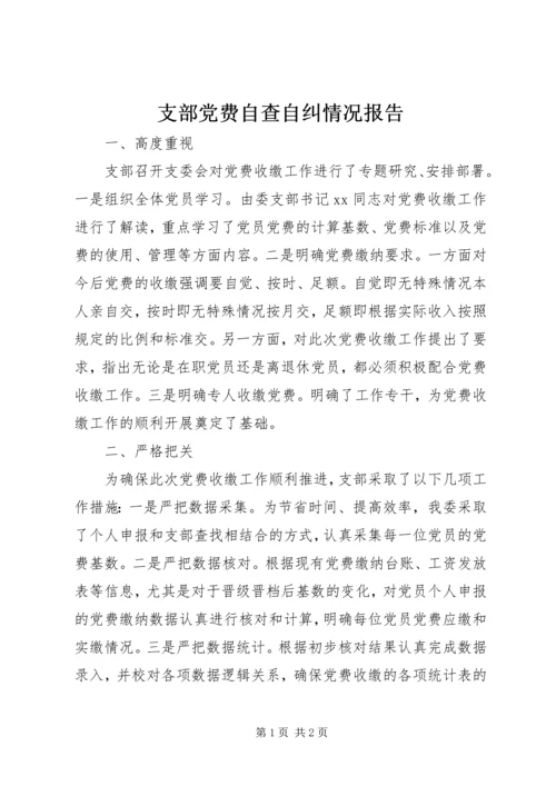 支部党费自查自纠情况报告.docx