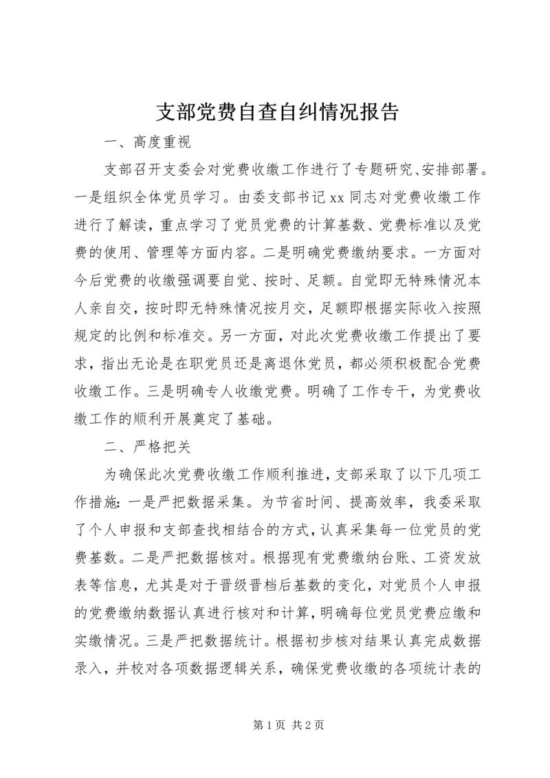 支部党费自查自纠情况报告.docx