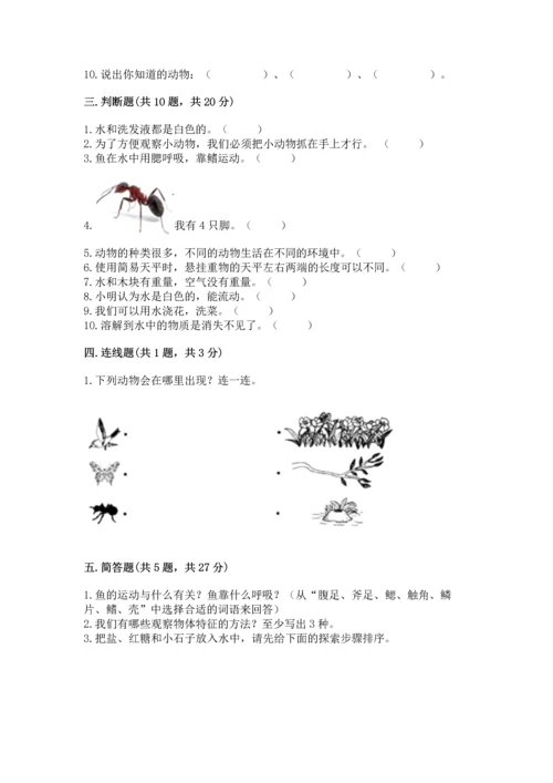 教科版一年级下册科学期末测试卷（必刷）.docx