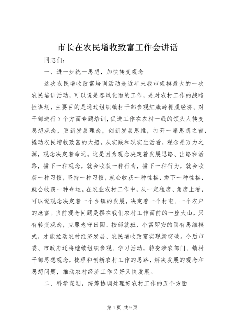 市长在农民增收致富工作会讲话.docx