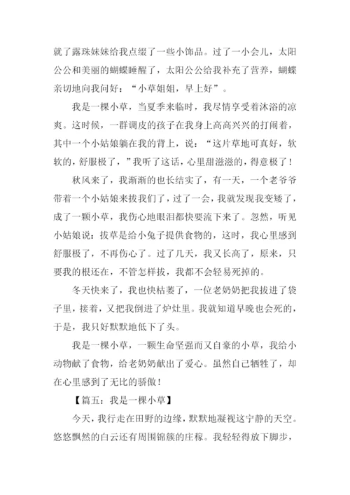 我是一棵小草作文600字.docx