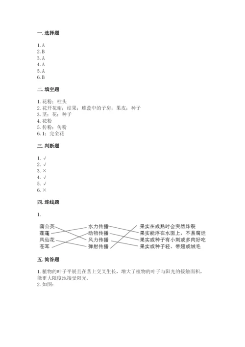 科学四年级下册第一单元《植物的生长变化》测试卷带答案（能力提升）.docx