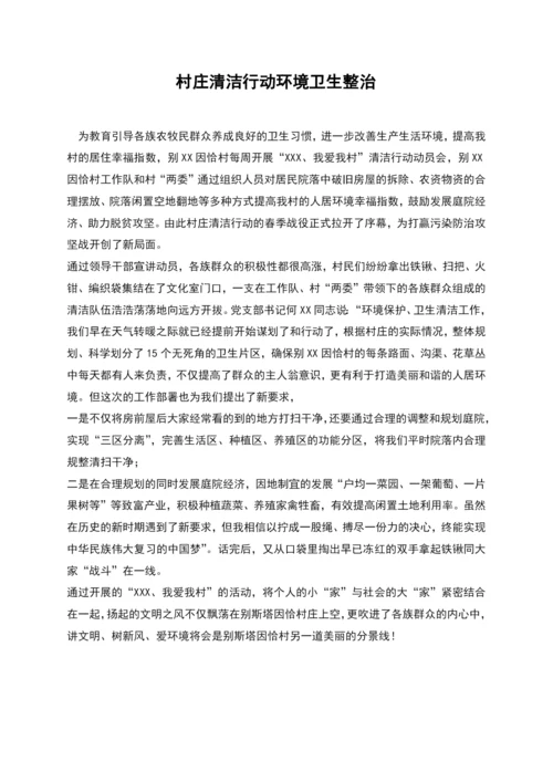 村庄清洁行动环境卫生整治.docx