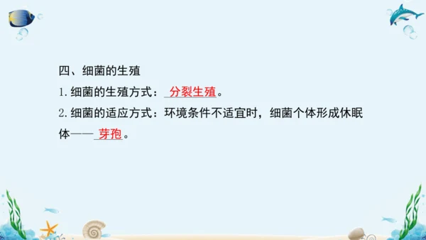 人教版八年级生物上册5.4《细菌和真菌》复习课件（含31张ppt）