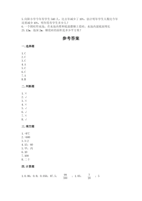 北京版六年级下册数学期末测试卷【考点精练】.docx