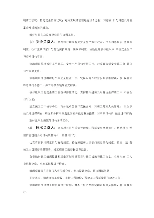 专项项目管理组织机构及分工