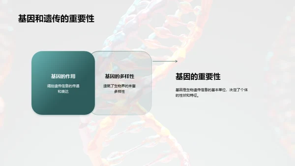 基因世界的探索之旅