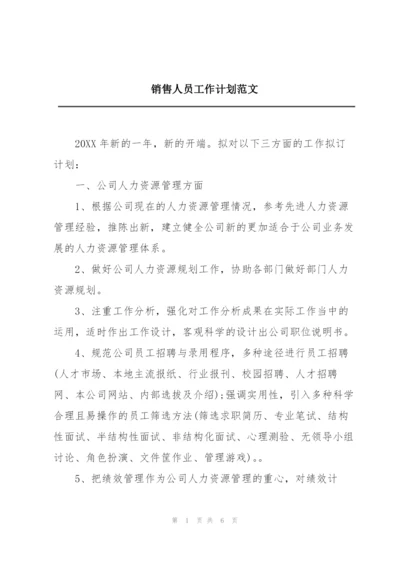 销售人员工作计划范文.docx