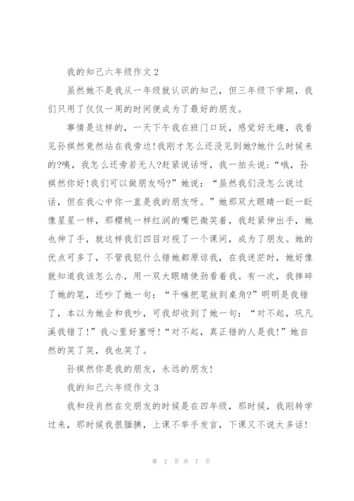 我的知己六年级作文6篇.docx