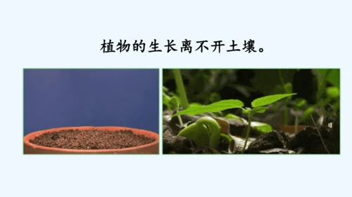 2.金木水火土  教学课件
