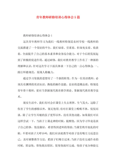 青年教师研修培训心得体会5篇.docx