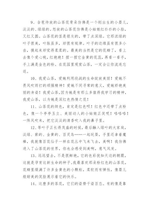 描写茶花的好词好句好段.docx
