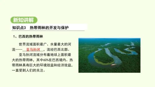 10.2.2 热带雨林的开发与保护（课件31张）-2024-2025学年七年级地理下学期人教版(20