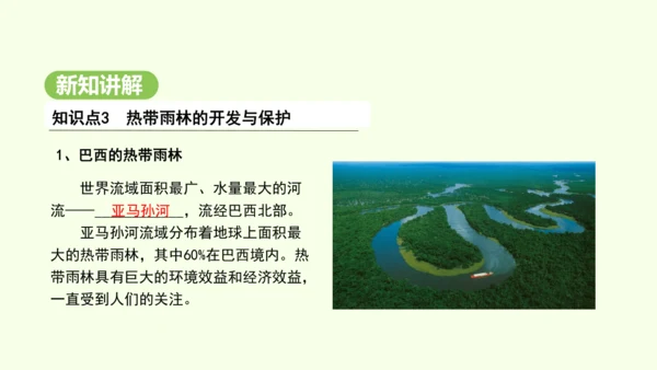 10.2.2 热带雨林的开发与保护（课件31张）-2024-2025学年七年级地理下学期人教版(20