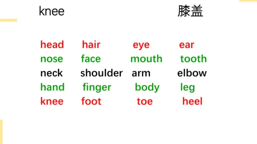 Module 9 Unit 1  What happened to you  课件(共32张PPT)