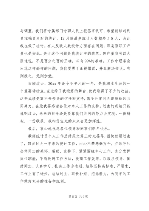 数据统计分析系统数据统计员个人工作总结与计划.docx