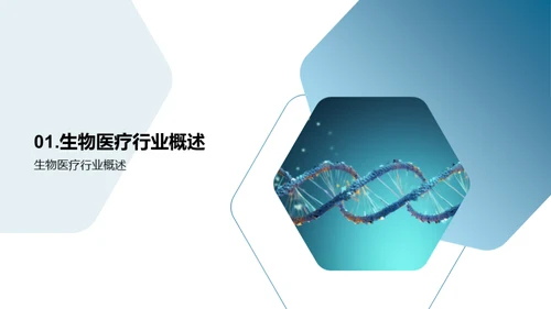 探索生物医疗世界