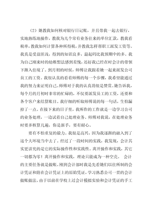 会计出纳实习总结范文