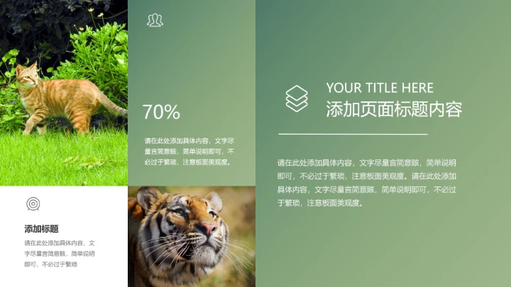 人与自然大熊猫活动宣传通用PPT模板