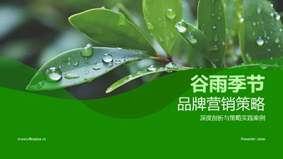 谷雨季节品牌营销策略