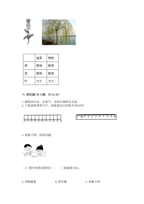 教科版一年级上册科学期末测试卷精品【有一套】.docx