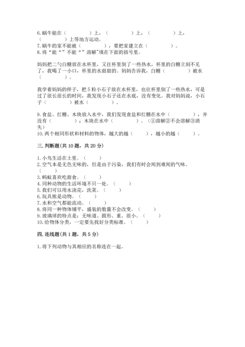 教科版一年级下册科学期末测试卷带答案（b卷）.docx