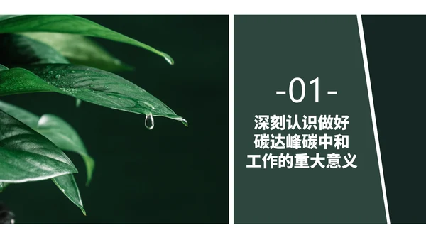 低碳经济碳达峰碳中和新理念PPT党课