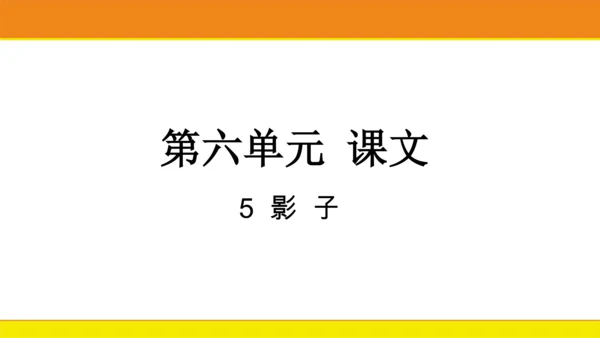 5 影子  课件