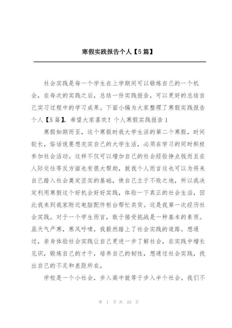 寒假实践报告个人【5篇】.docx