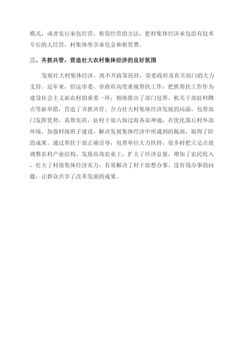 关于壮大农村集体经济的调研论文.docx