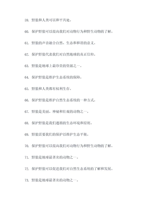 关于野狼的口号