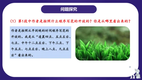 统编版三年级语文下学期期中核心考点集训第四单元（复习课件）