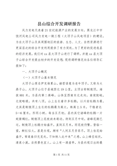 县山综合开发调研报告.docx