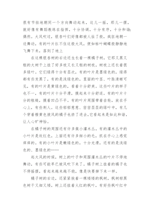 窗外即景作文.docx