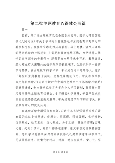 第二批主题教育心得体会两篇.docx