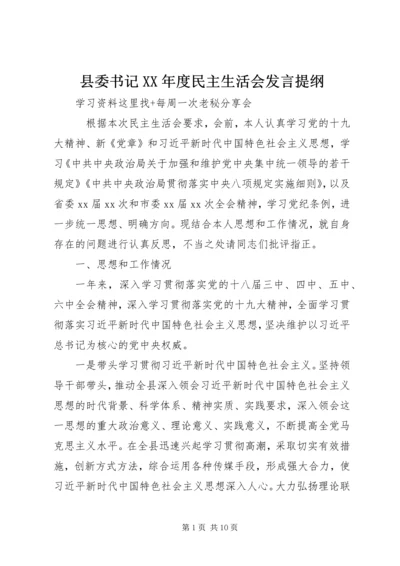 县委书记XX年度民主生活会发言提纲.docx