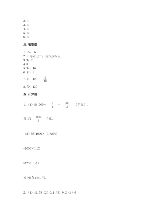 北师大版六年级下册数学期末测试卷精品【典优】.docx
