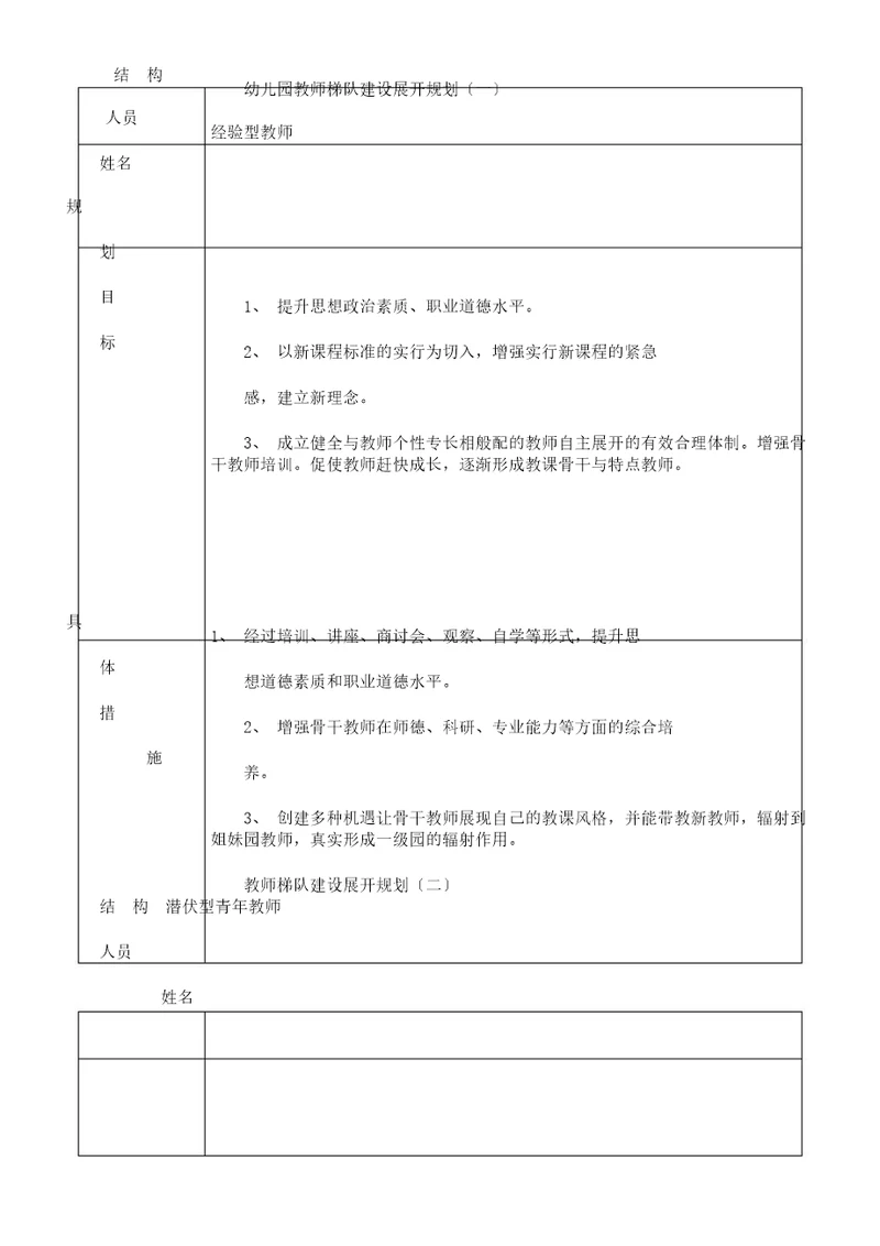 教师梯队建设发展规划表格