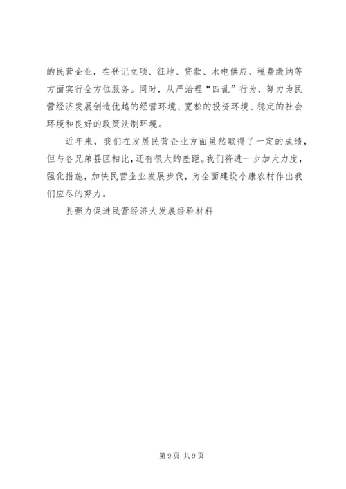 县强力促进民营经济大发展经验材料 (5).docx