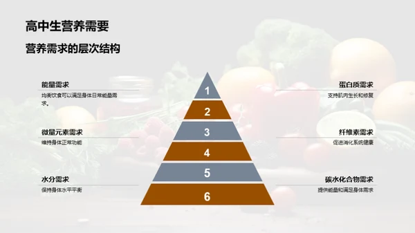 青少年健康饮食指南