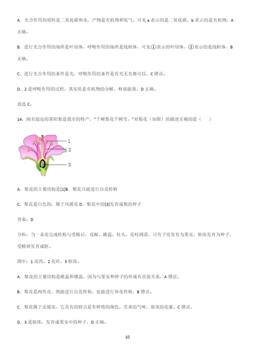 人教版2023初中生物七年级上册第三单元生物圈中的绿色植物解题方法技巧.docx