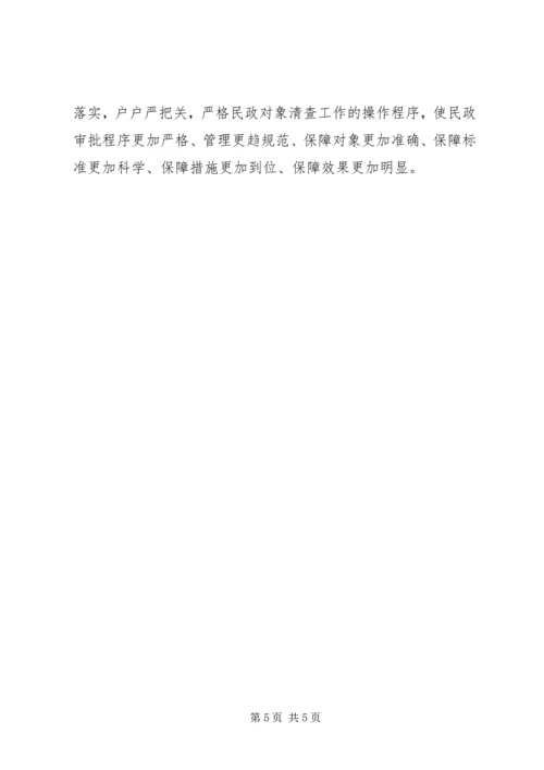 乡镇年度民政清查工作总结.docx