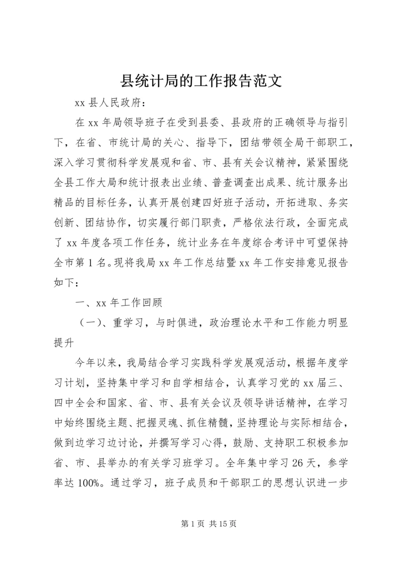 县统计局的工作报告范文 (2).docx