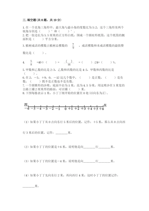 海宁市六年级下册数学期末测试卷汇编.docx