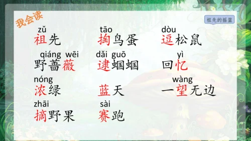 23祖先的摇篮 课件