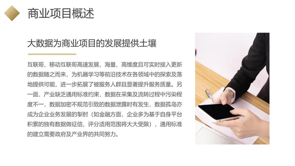 黑金色商业项目行业分析报告PPT模板