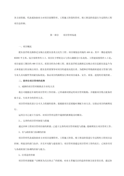 专项项目管理实施专题方案.docx